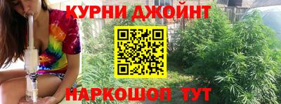 сатива Жуковский