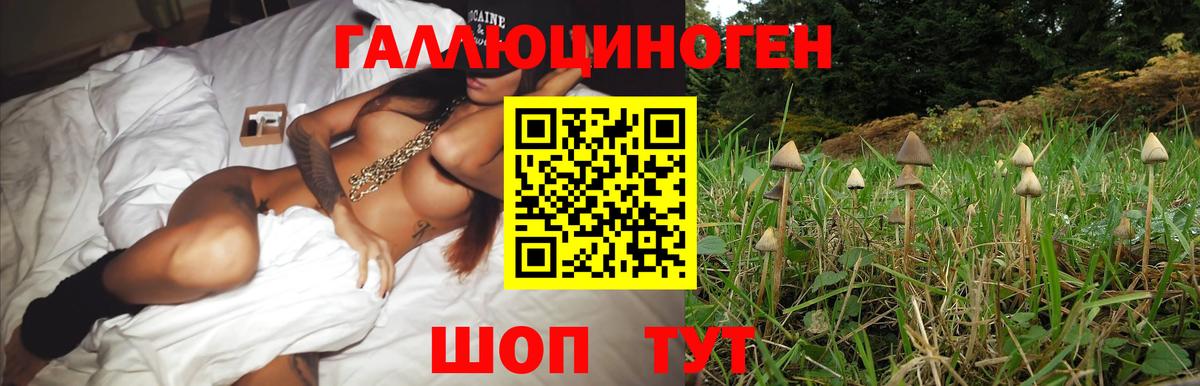 Псилоцибиновые грибы Magic Shrooms  Вход с VPN  Магнитогорск 